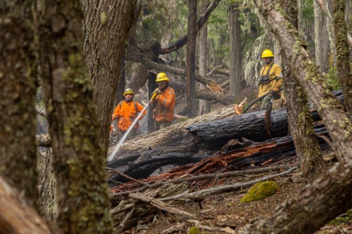 Recuerdan que continúa la prohibición de hacer uso del fuego en zonas