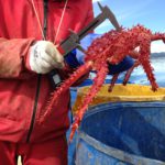 El COFECYT adjudicó el primer proyecto a Tierra del Fuego