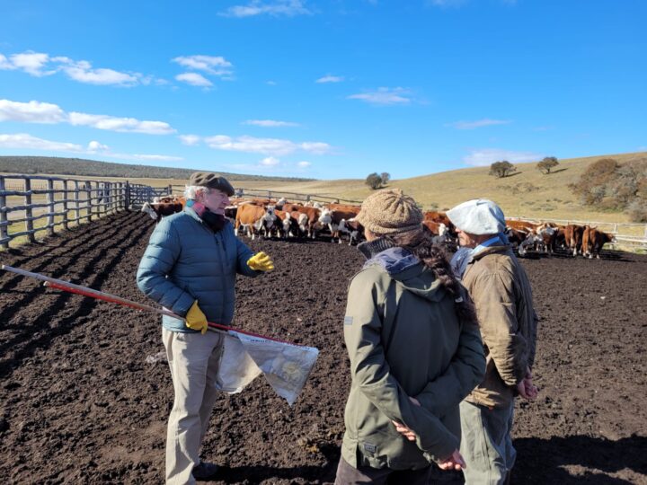 La producción ovina se redujo a menos de la mitad y siguen sin saber adónde se aplican los fondos previstos en el presupuesto para la ley de manejo.