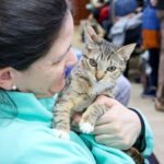 El Municipio de Río Grande realizará una nueva jornada de cuidado para las mascotas de la ciudad