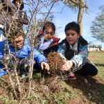 Tolhuin realizó jornada de forestación en el Día Internacional contra el Cambio Climático