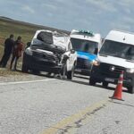 Chocó contra un guanaco y terminó en el hospital